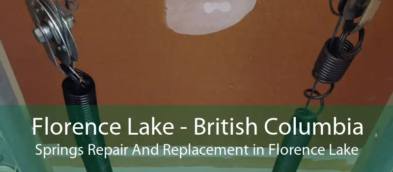 Florence Lake - British Columbia Springs Repair And Replacement in Florence Lake