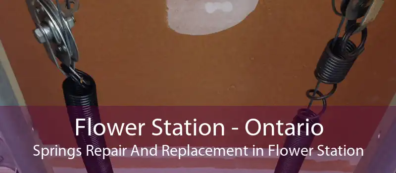 Flower Station - Ontario Springs Repair And Replacement in Flower Station