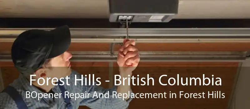 Forest Hills - British Columbia BOpener Repair And Replacement in Forest Hills