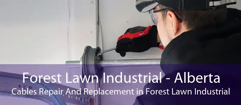 Forest Lawn Industrial - Alberta Cables Repair And Replacement in Forest Lawn Industrial