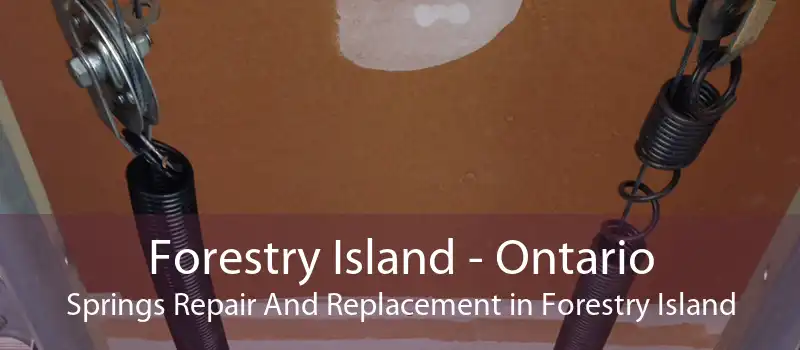 Forestry Island - Ontario Springs Repair And Replacement in Forestry Island
