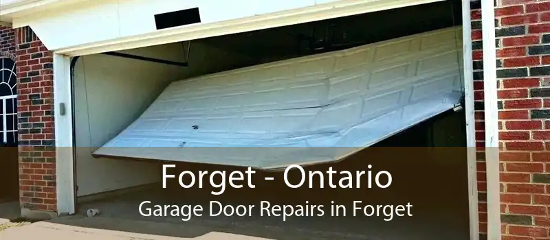 Forget - Ontario Garage Door Repairs in Forget