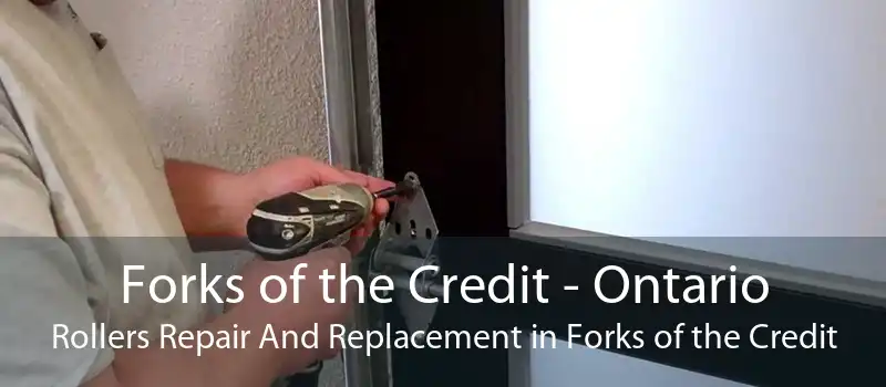 Forks of the Credit - Ontario Rollers Repair And Replacement in Forks of the Credit