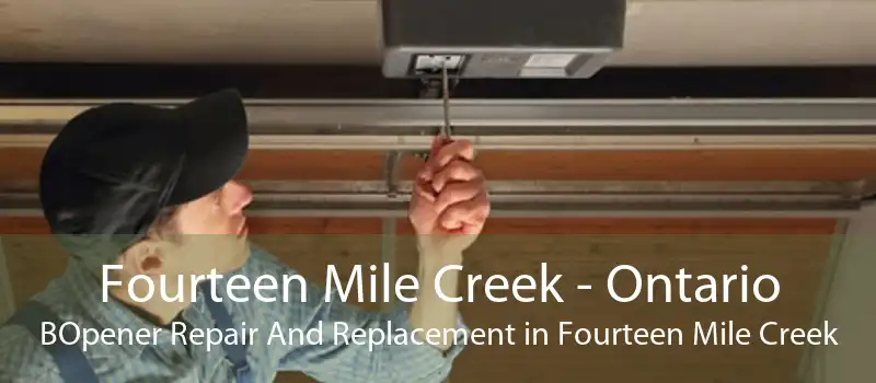 Fourteen Mile Creek - Ontario BOpener Repair And Replacement in Fourteen Mile Creek