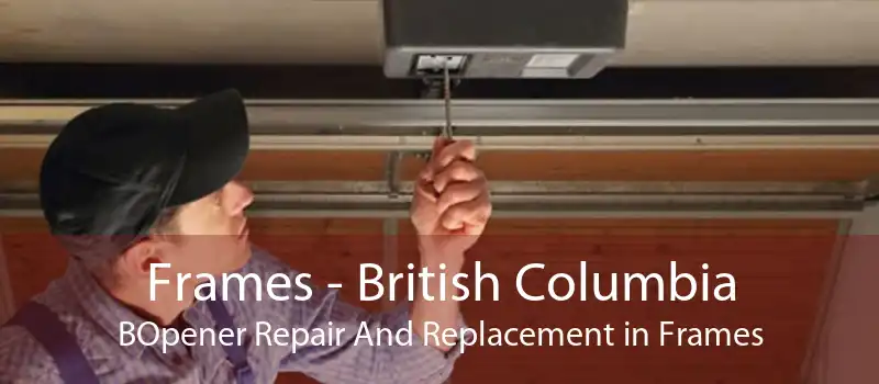 Frames - British Columbia BOpener Repair And Replacement in Frames