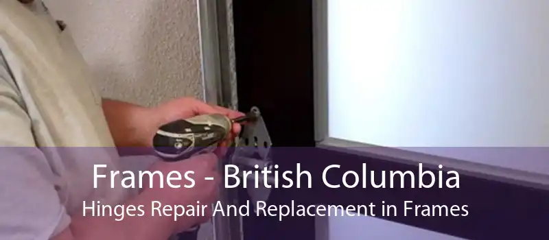 Frames - British Columbia Hinges Repair And Replacement in Frames