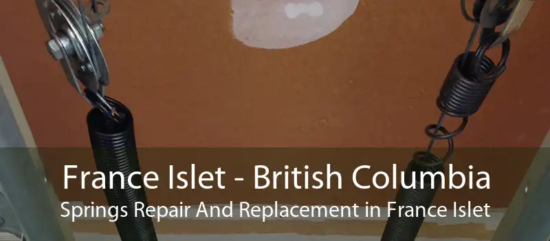 France Islet - British Columbia Springs Repair And Replacement in France Islet