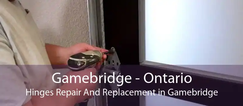 Gamebridge - Ontario Hinges Repair And Replacement in Gamebridge
