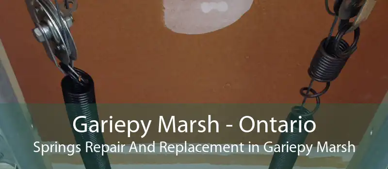 Gariepy Marsh - Ontario Springs Repair And Replacement in Gariepy Marsh