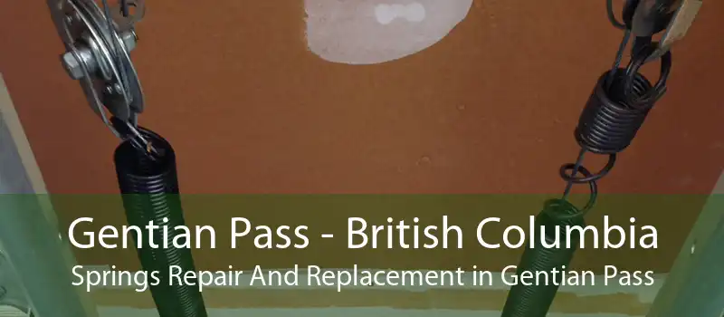 Gentian Pass - British Columbia Springs Repair And Replacement in Gentian Pass