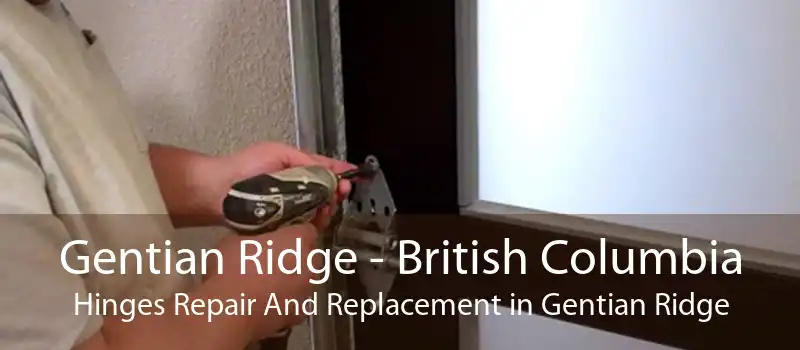 Gentian Ridge - British Columbia Hinges Repair And Replacement in Gentian Ridge