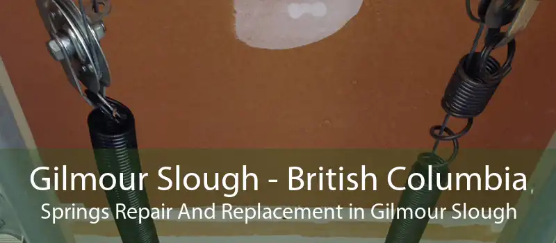 Gilmour Slough - British Columbia Springs Repair And Replacement in Gilmour Slough
