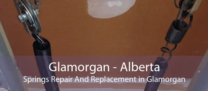 Glamorgan - Alberta Springs Repair And Replacement in Glamorgan