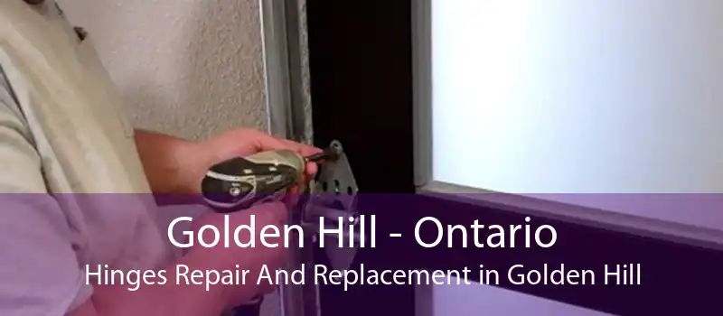 Golden Hill - Ontario Hinges Repair And Replacement in Golden Hill
