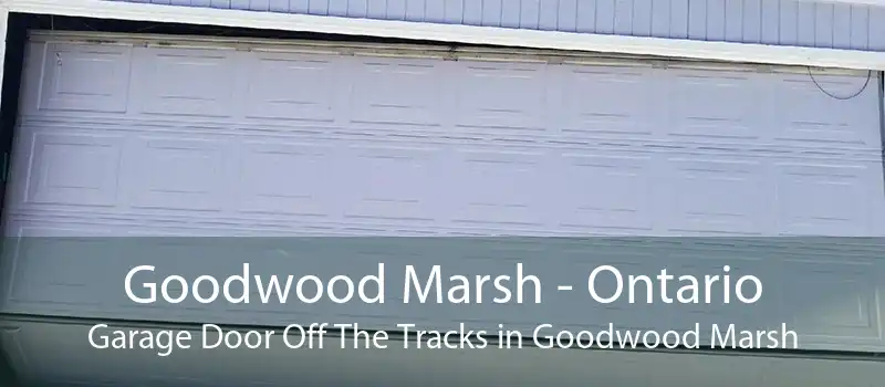 Goodwood Marsh - Ontario Garage Door Off The Tracks in Goodwood Marsh