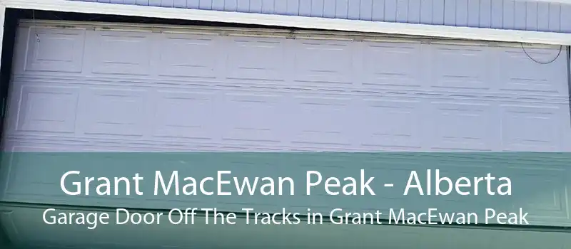 Grant MacEwan Peak - Alberta Garage Door Off The Tracks in Grant MacEwan Peak
