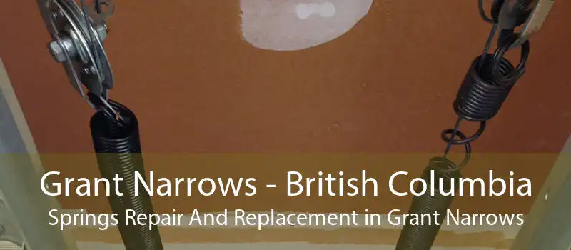 Grant Narrows - British Columbia Springs Repair And Replacement in Grant Narrows