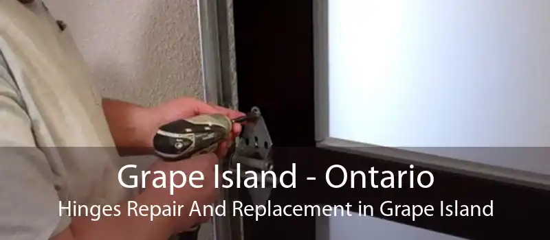 Grape Island - Ontario Hinges Repair And Replacement in Grape Island