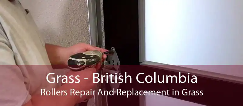 Grass - British Columbia Rollers Repair And Replacement in Grass