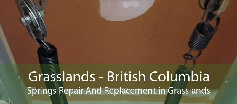 Grasslands - British Columbia Springs Repair And Replacement in Grasslands