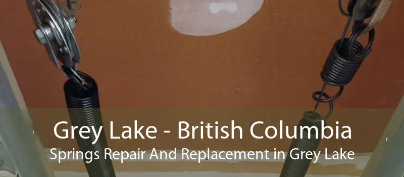 Grey Lake - British Columbia Springs Repair And Replacement in Grey Lake