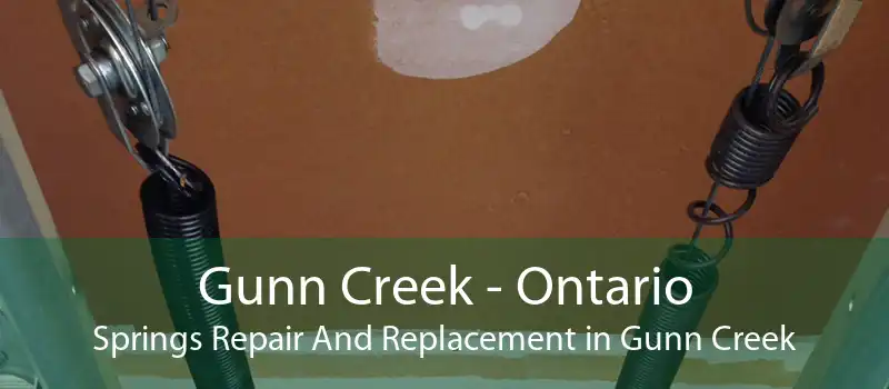 Gunn Creek - Ontario Springs Repair And Replacement in Gunn Creek
