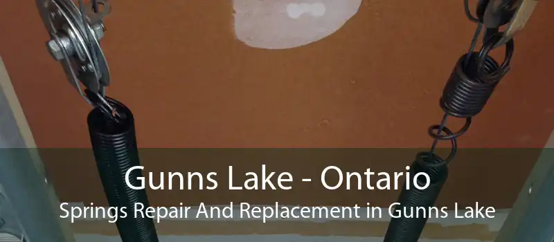 Gunns Lake - Ontario Springs Repair And Replacement in Gunns Lake