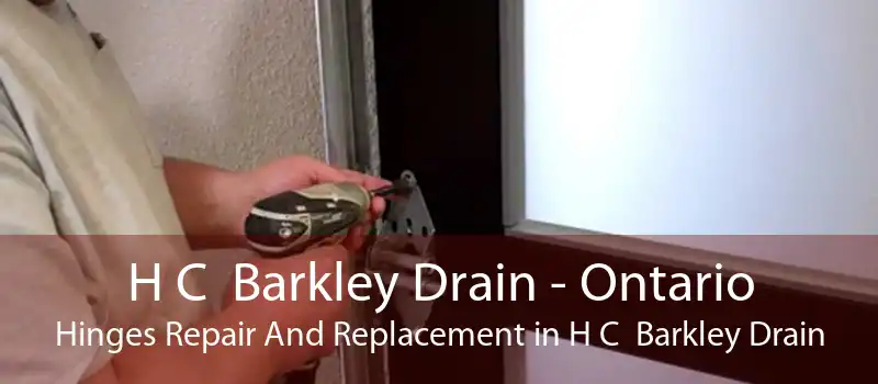 H C  Barkley Drain - Ontario Hinges Repair And Replacement in H C  Barkley Drain