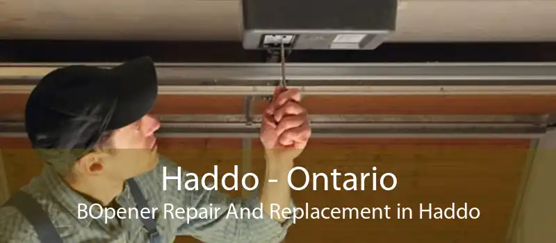 Haddo - Ontario BOpener Repair And Replacement in Haddo