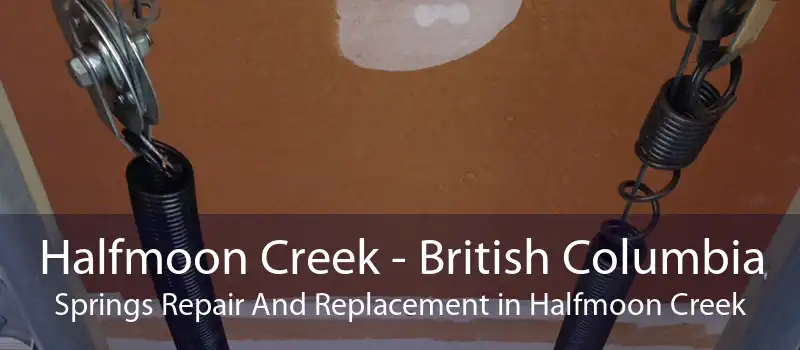 Halfmoon Creek - British Columbia Springs Repair And Replacement in Halfmoon Creek