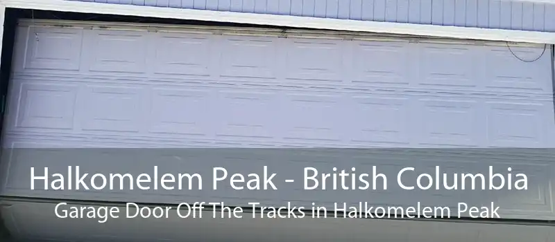 Halkomelem Peak - British Columbia Garage Door Off The Tracks in Halkomelem Peak