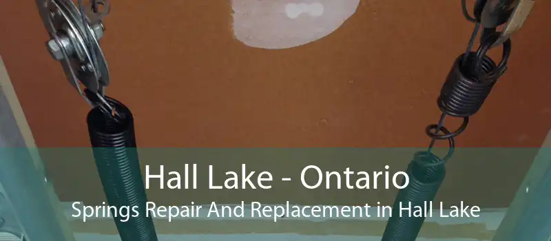 Hall Lake - Ontario Springs Repair And Replacement in Hall Lake