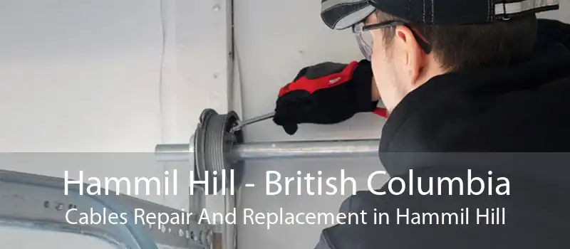 Hammil Hill - British Columbia Cables Repair And Replacement in Hammil Hill