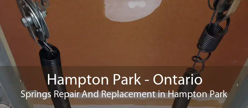 Hampton Park - Ontario Springs Repair And Replacement in Hampton Park