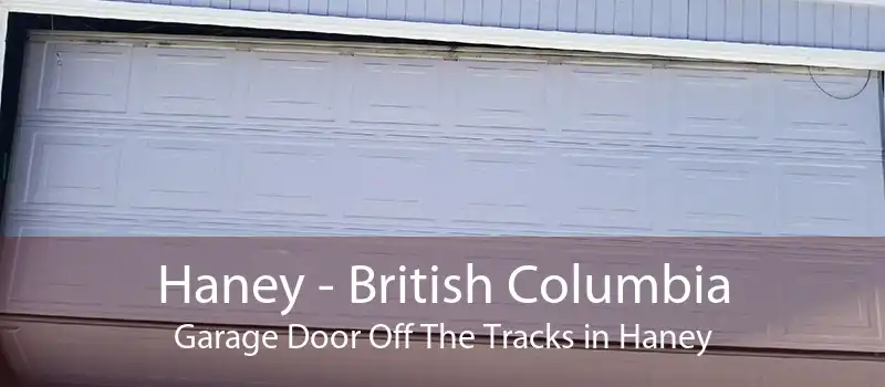 Haney - British Columbia Garage Door Off The Tracks in Haney