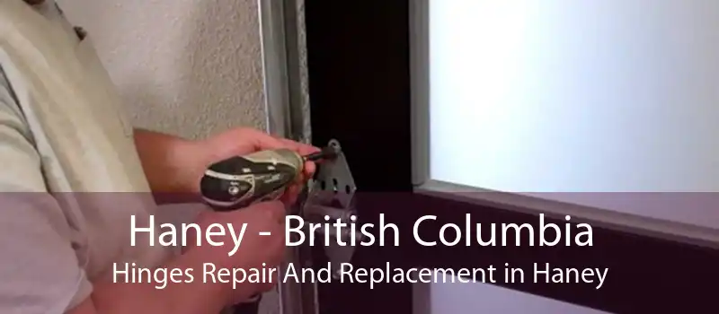 Haney - British Columbia Hinges Repair And Replacement in Haney