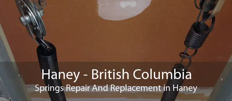 Haney - British Columbia Springs Repair And Replacement in Haney