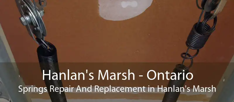Hanlan's Marsh - Ontario Springs Repair And Replacement in Hanlan's Marsh