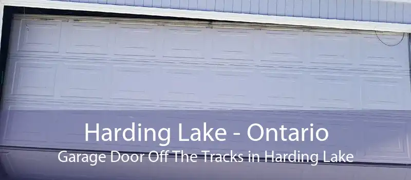 Harding Lake - Ontario Garage Door Off The Tracks in Harding Lake