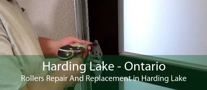 Harding Lake - Ontario Rollers Repair And Replacement in Harding Lake