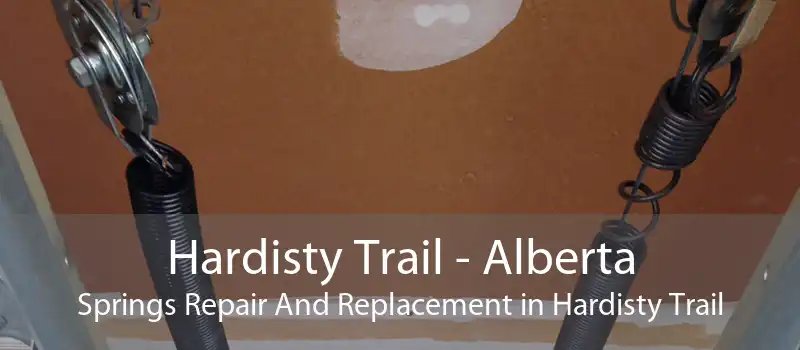 Hardisty Trail - Alberta Springs Repair And Replacement in Hardisty Trail
