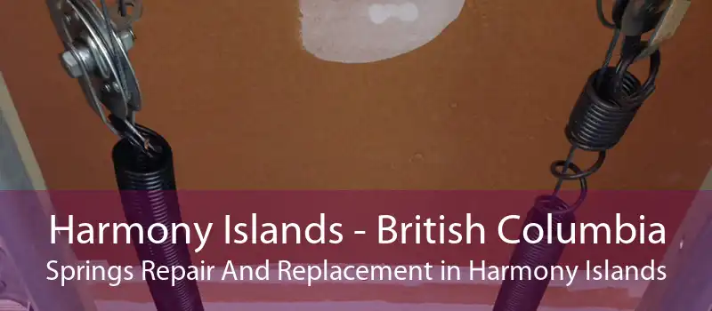 Harmony Islands - British Columbia Springs Repair And Replacement in Harmony Islands