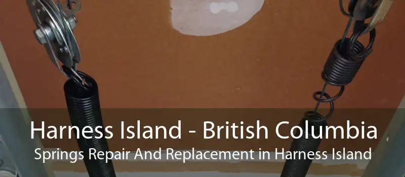 Harness Island - British Columbia Springs Repair And Replacement in Harness Island