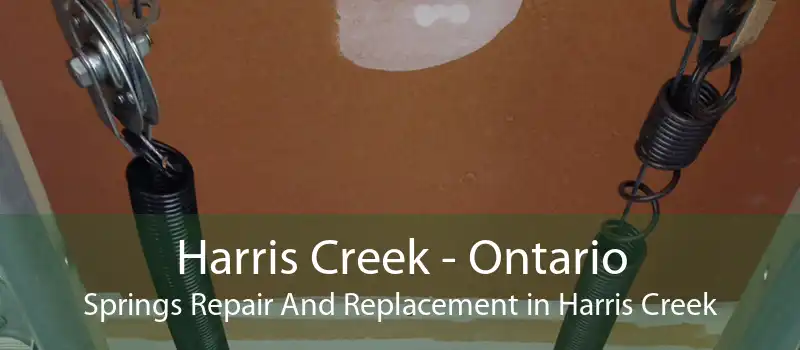 Harris Creek - Ontario Springs Repair And Replacement in Harris Creek