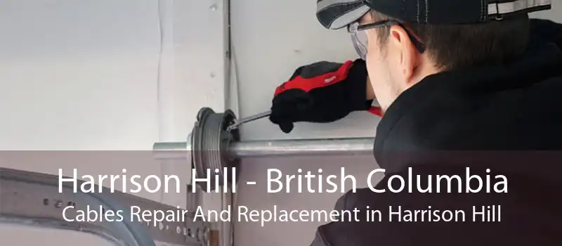 Harrison Hill - British Columbia Cables Repair And Replacement in Harrison Hill