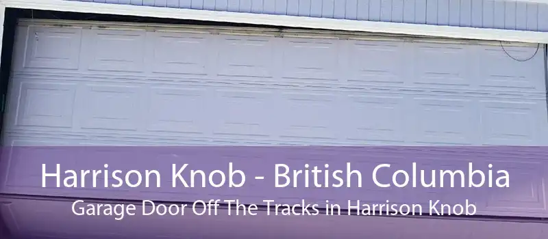 Harrison Knob - British Columbia Garage Door Off The Tracks in Harrison Knob
