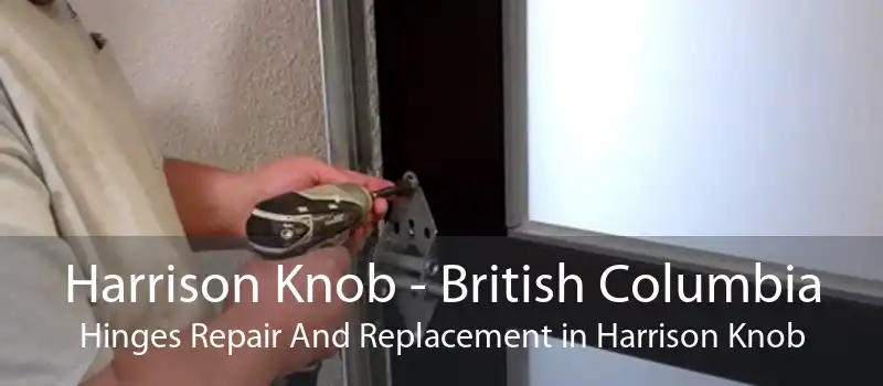 Harrison Knob - British Columbia Hinges Repair And Replacement in Harrison Knob