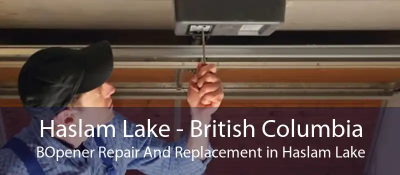 Haslam Lake - British Columbia BOpener Repair And Replacement in Haslam Lake