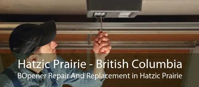 Hatzic Prairie - British Columbia BOpener Repair And Replacement in Hatzic Prairie