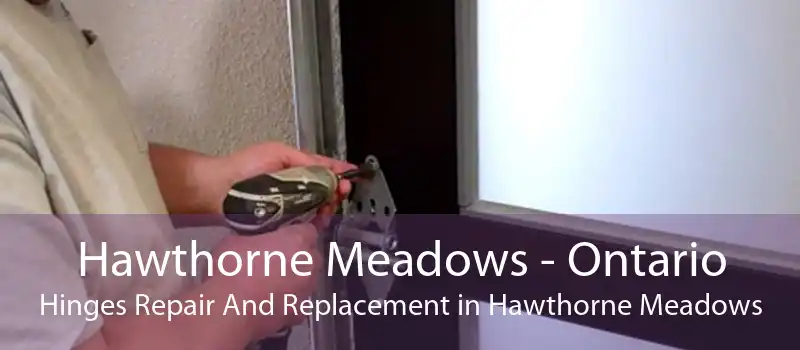 Hawthorne Meadows - Ontario Hinges Repair And Replacement in Hawthorne Meadows